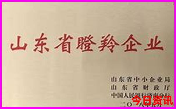 适合16岁孩子旅游的地方