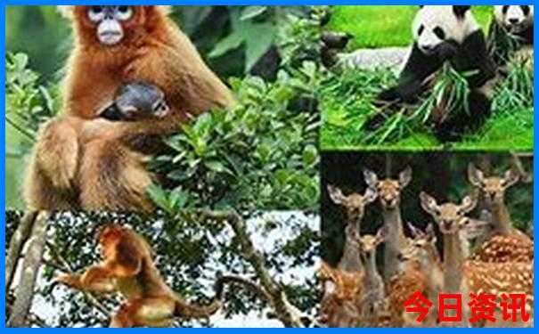 穷游北京旅游攻略最佳方案